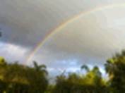 A Peaceful Rainbow